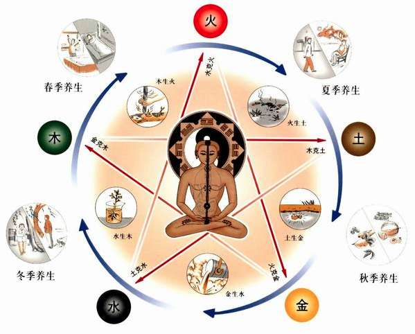 Traditional Chinese Medicine